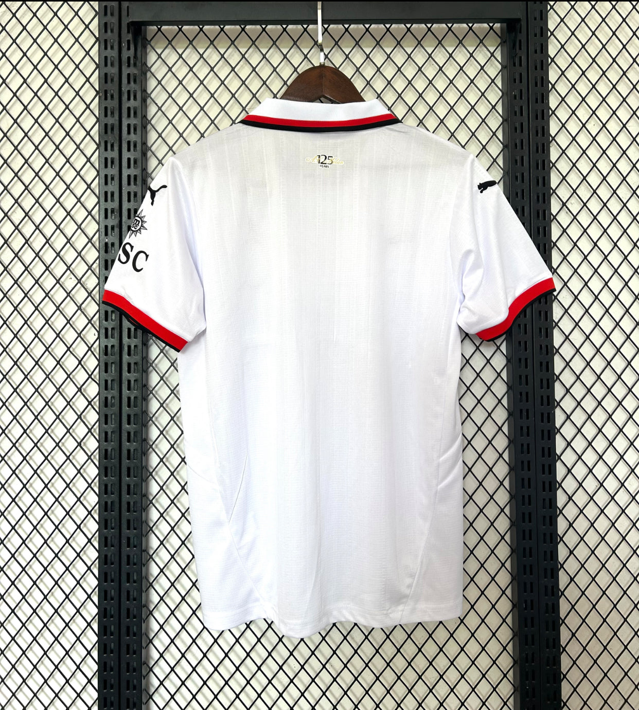 2024/25 AC Milan (Pre-order)
