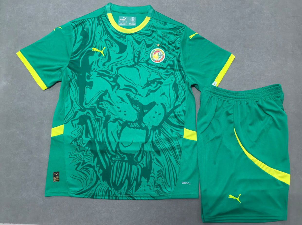 2025/26 Senegal Away Kit (Pre-order)