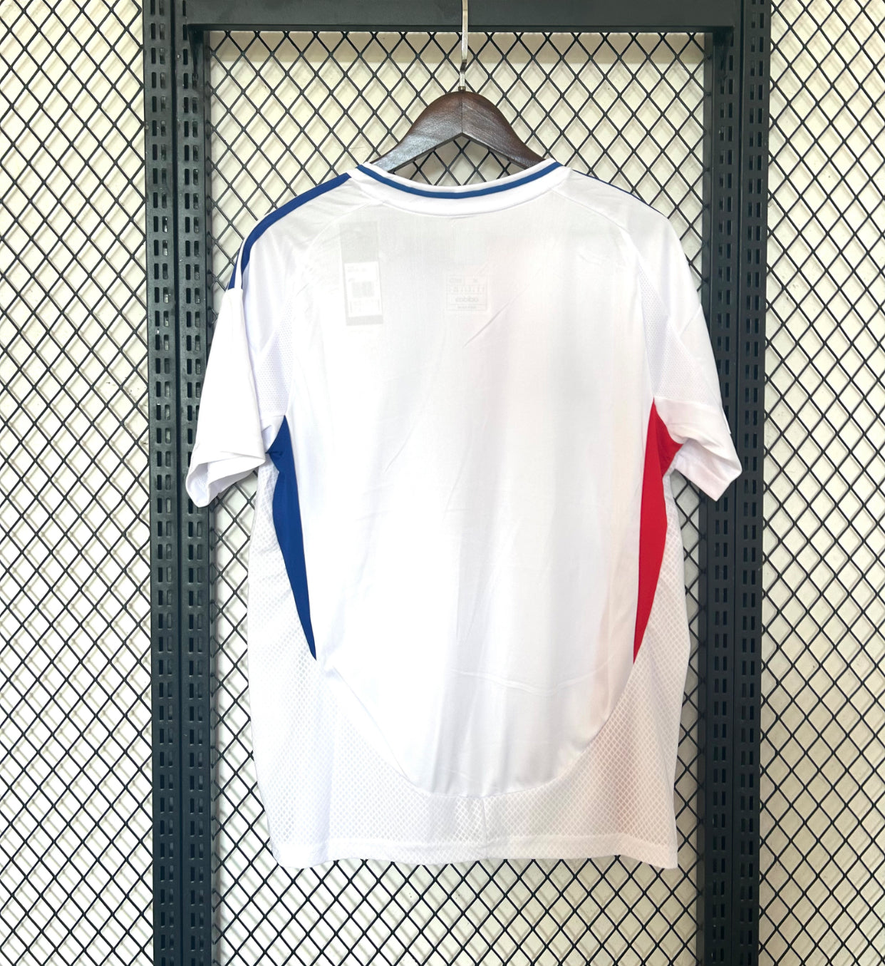 2024/25 Lyon (Pre-order)